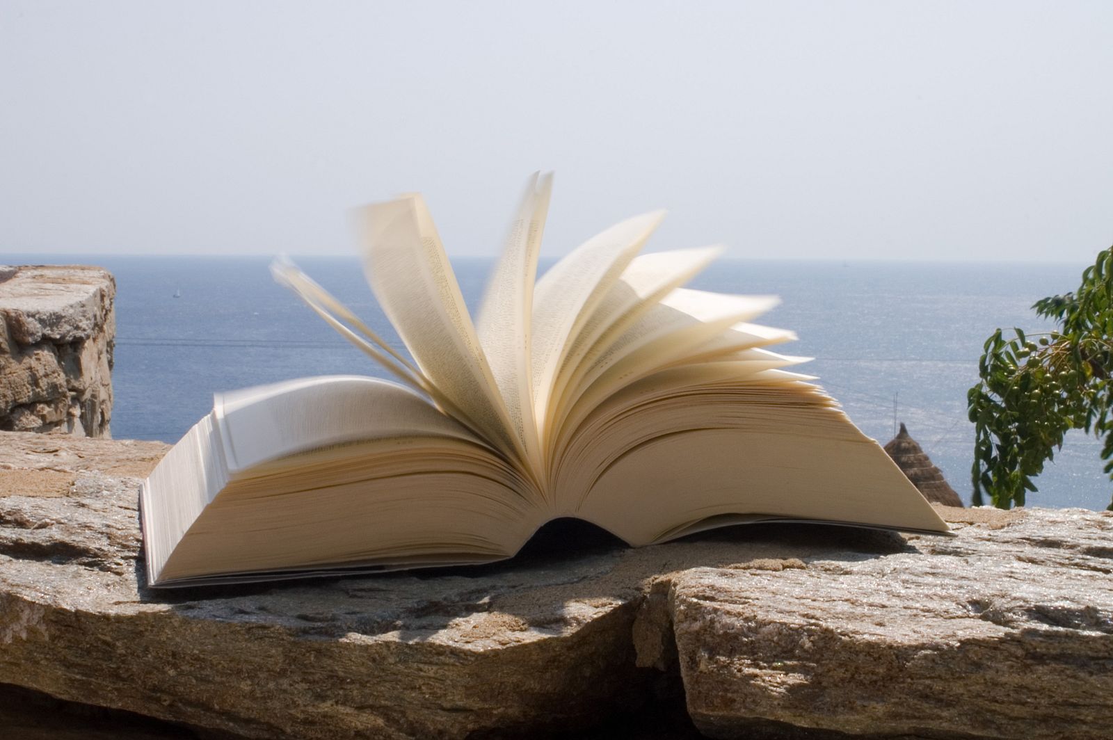 La caída en la venta de libros duplicará este año la de 2011