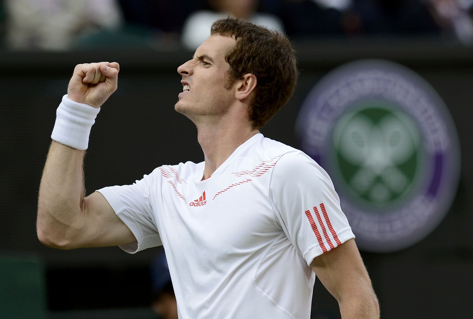 Andy Murray celebra un punto en su partido de semifinales frente al francés Tsonga
