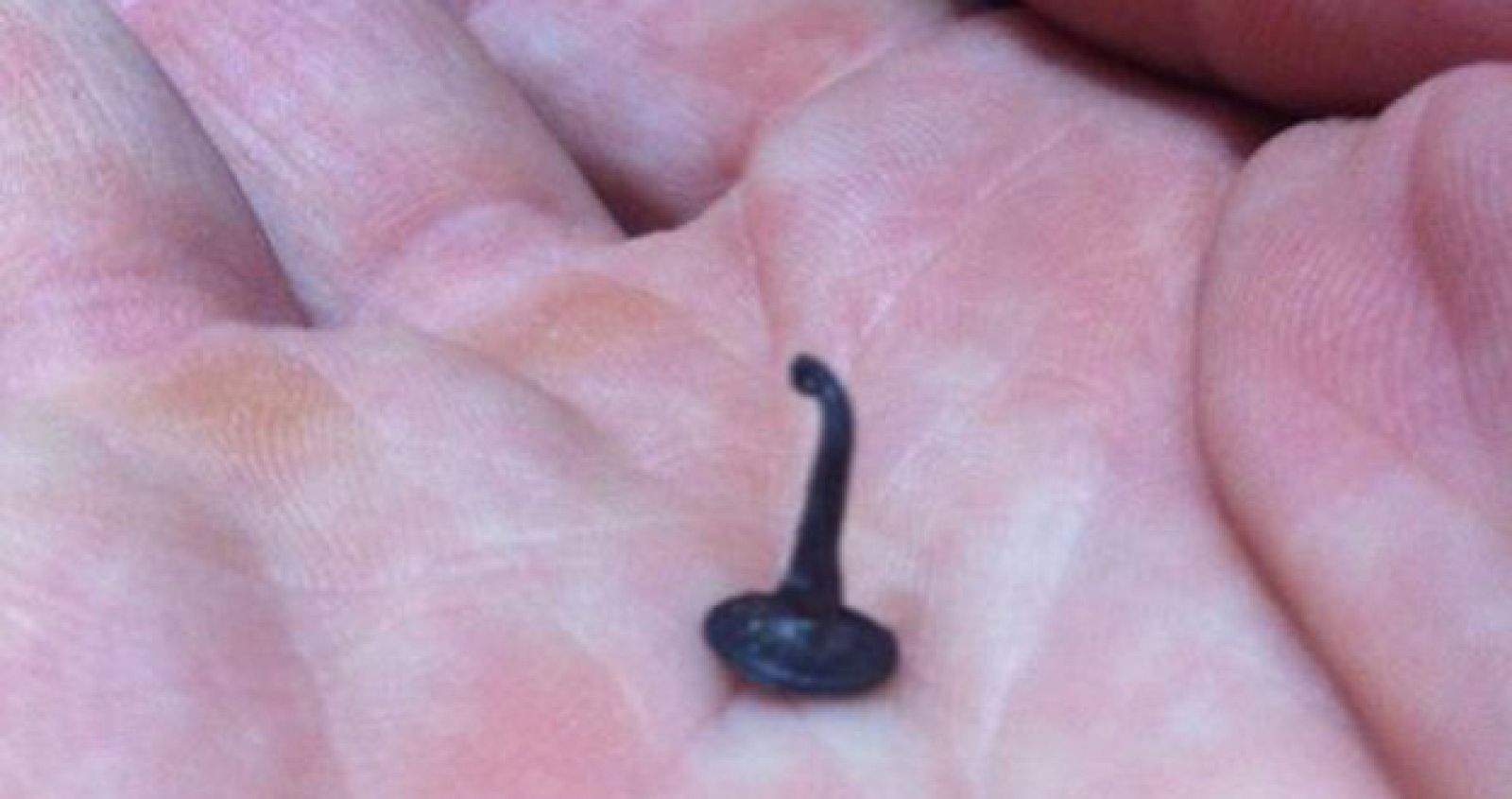 Cadel Evans muestra uno de los clavos con los que pinchó en la 14ª etapa del Tour.