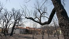 El Consejo Comarcal del Empordá crea una web para canalizar las necesidades de los afectados