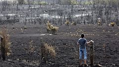 Controlado el incendio de Ávila, mientras ya no quedan frentes activos en el de La Gomera