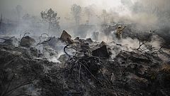 Un británico muere y un matrimonio resulta herido grave por quemaduras en el incendio de Málaga