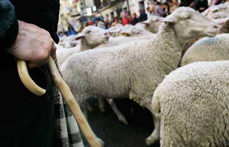 Miles de agricultores reclaman en Toledo medidas contra la crisis del sector