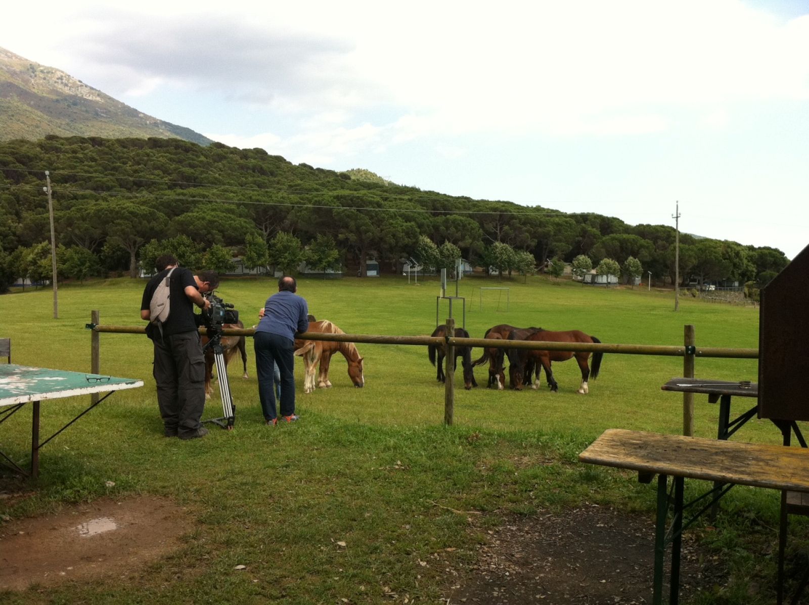 premsa---racons-montseny-cavalls