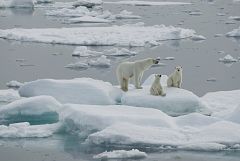 Los desafíos del planeta, a debate en el Congreso Mundial de la Naturaleza