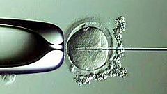 Sanidad estudia si saca de la cartera básica tratamientos como los de fertilidad y rehabilitación