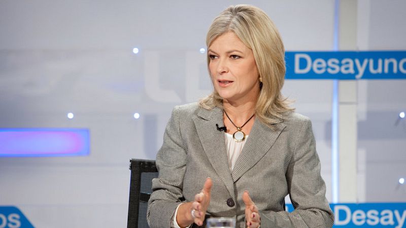 Bravo cree que la reforma del Código Penal tiene "mal encaje" en la Constitución