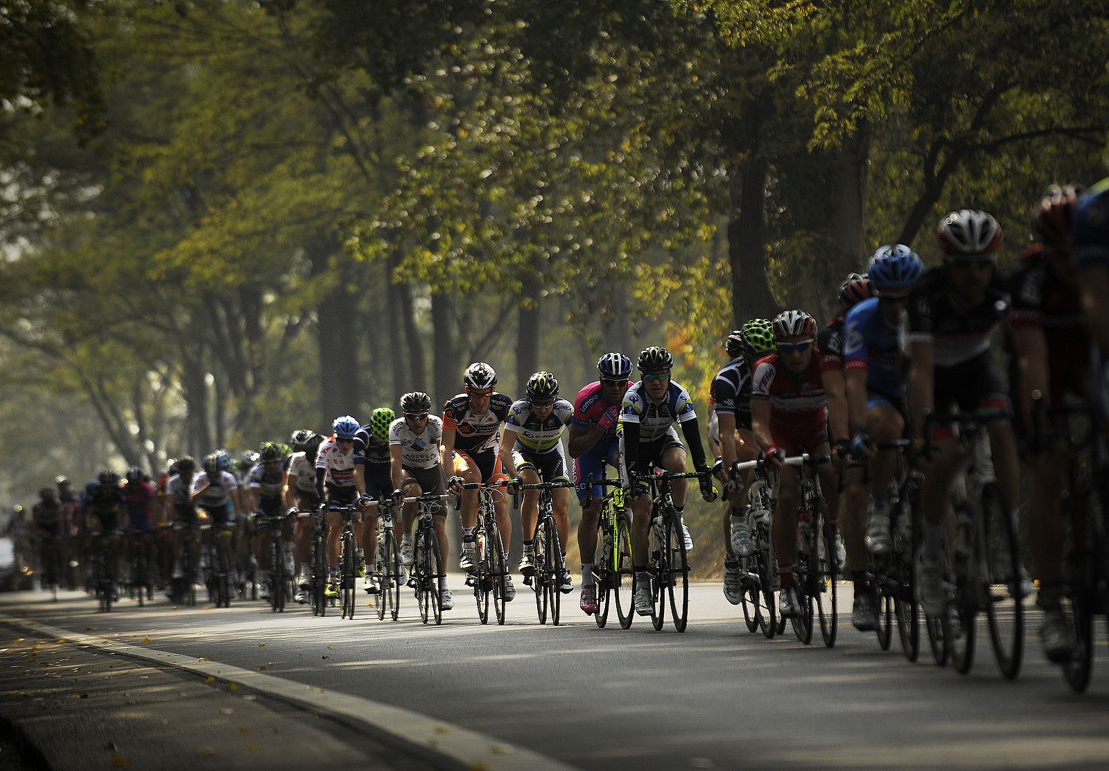 El pelotón ciclista transita por una zona arbolada
