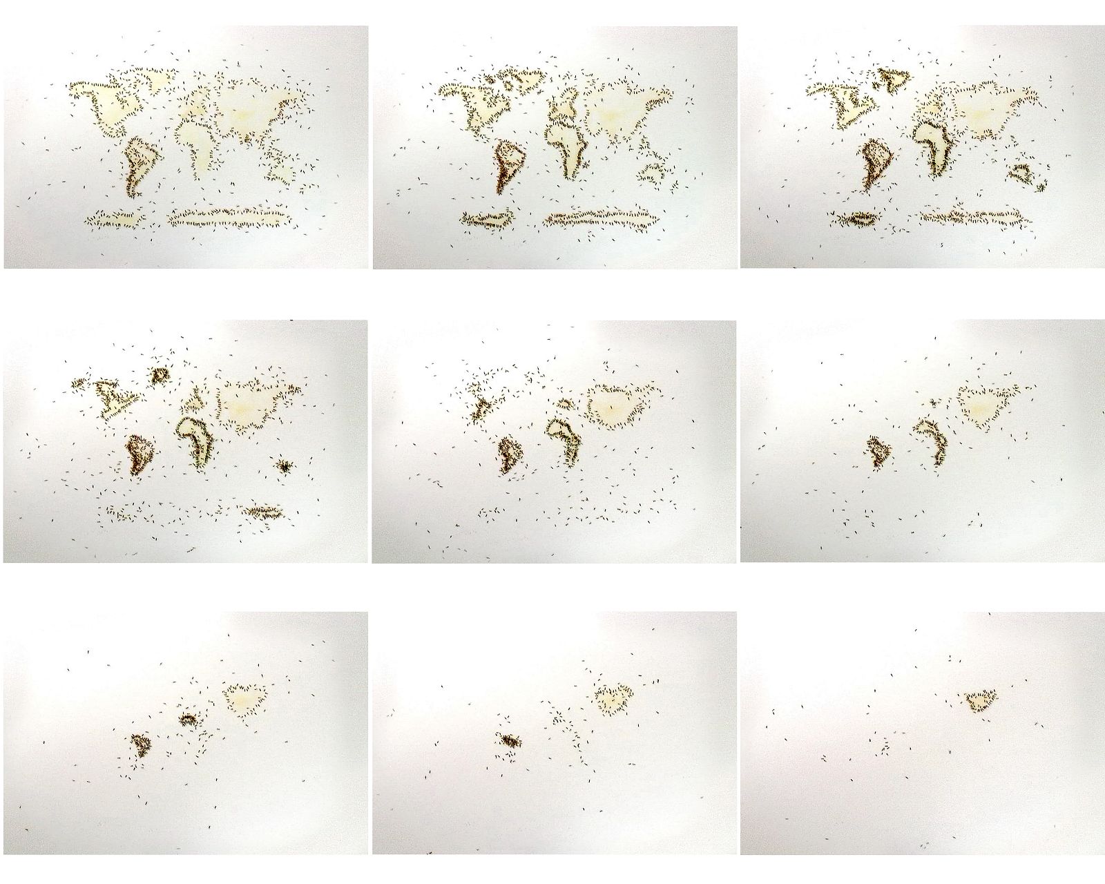 Rivane Neuenschwander. Contingente 2008. Cortesía de la artista y Galeria Fortes Vilaça.