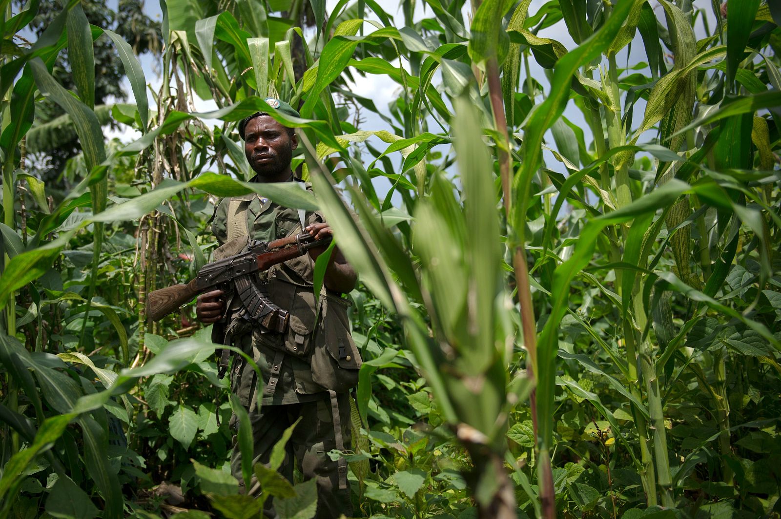 Un miembro de la milicia Mai Mai, aliada del Gobierno y enfrentada a la guerrilla del M23, hace guardia en un campo cerca de Sake, al este de la República Democrática del Congo