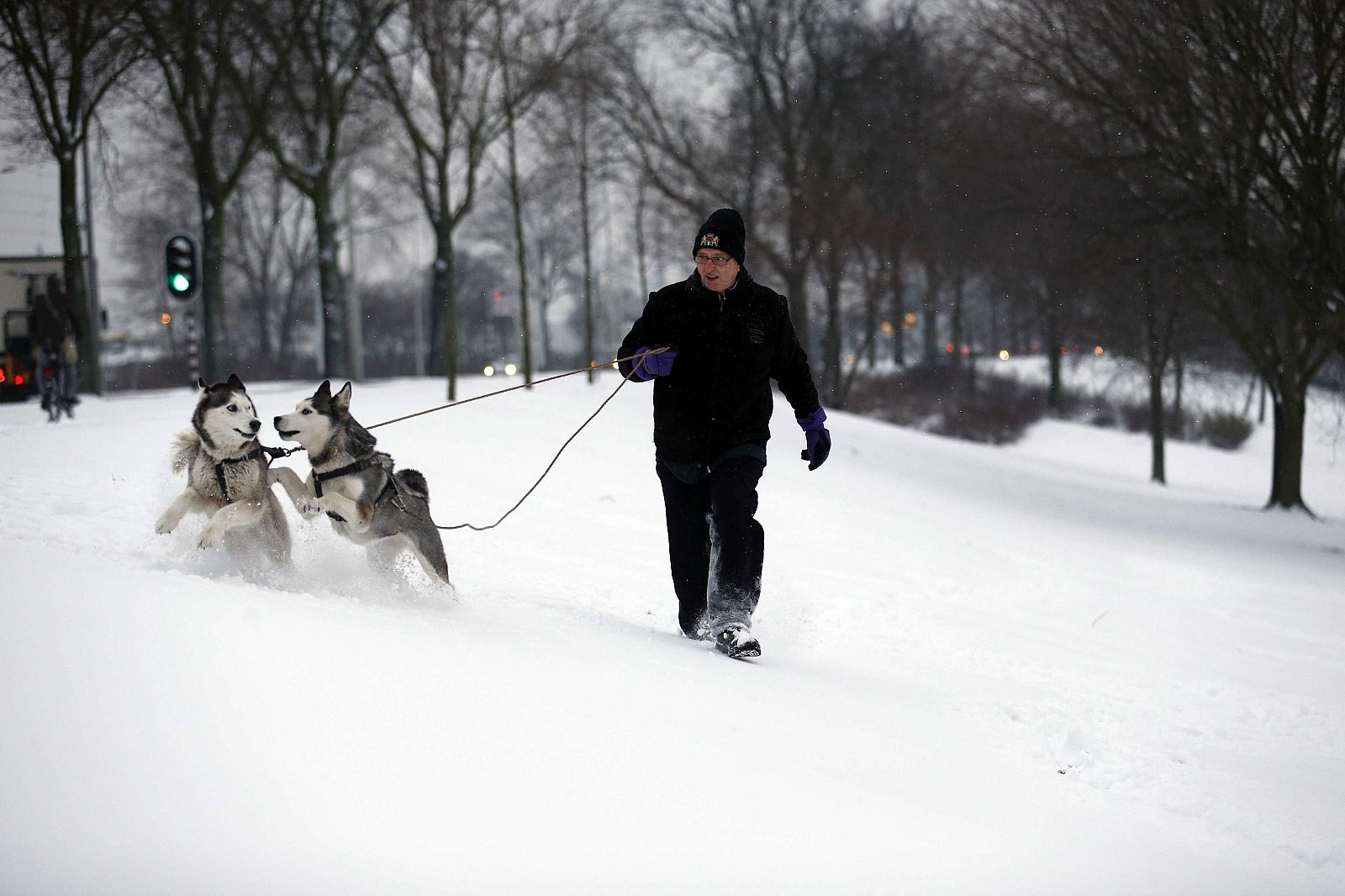 Un hombre pasea con sus perros en Holanda, afectada por el temporal de nieve