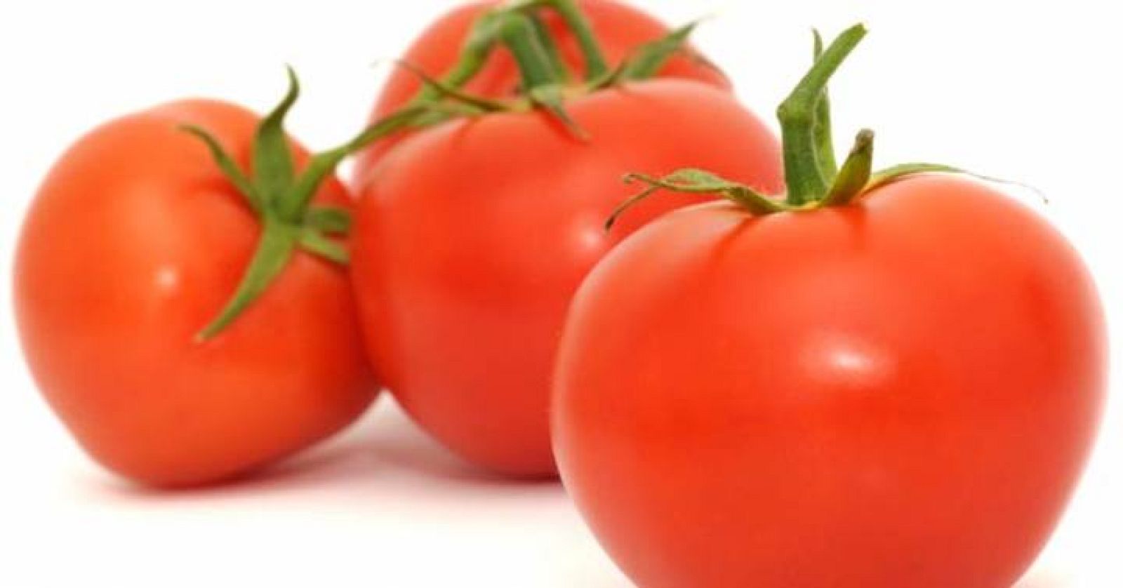 Recetas Casting MasterChef: Crema a la andaluza