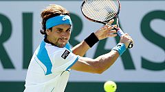 Ferrer y Verdasco, eliminados por Anderson y Nieminen