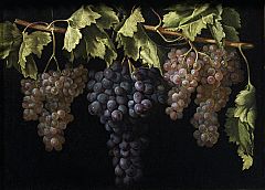 El Museo del Prado reúne por primera vez las pinturas de El Labrador