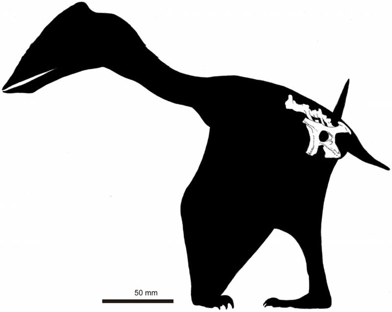 Quién descubrió los dinosaurios? Quién descubrió los dinosaurios?
