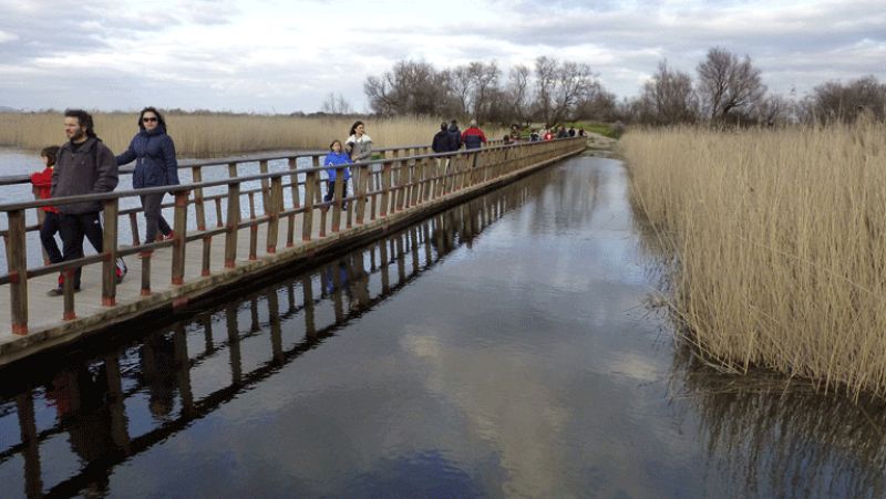 El Parque Nacional Tablas de Daimiel empieza la primavera inundado de agua