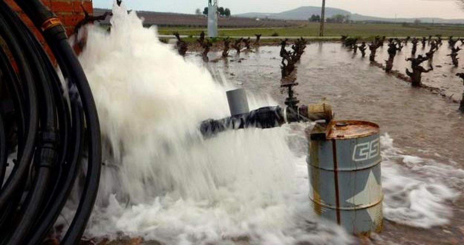 El hervidero de Bolaños de Calatrava