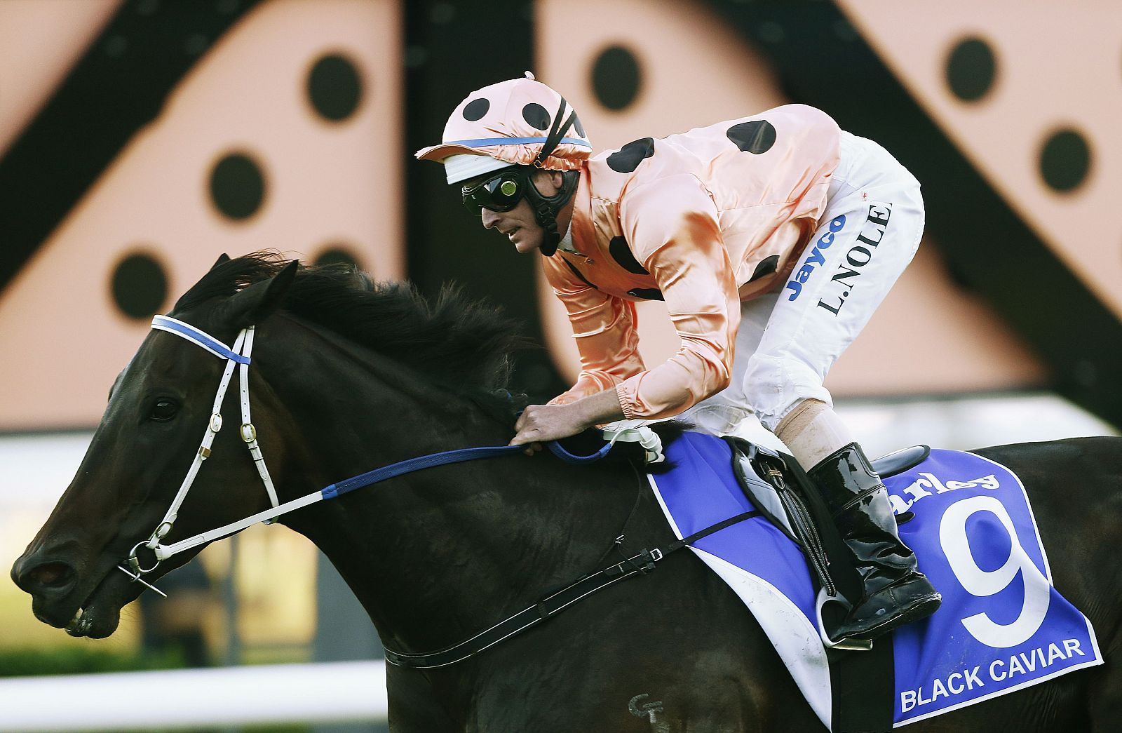 Nolen rides Black Caviar to win the TJ Smith Stakes at Royal Randwick racecourse in Sydney