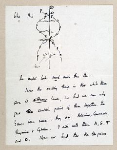 La estructura del ADN, la llave del secreto de la vida, cumple 60 años