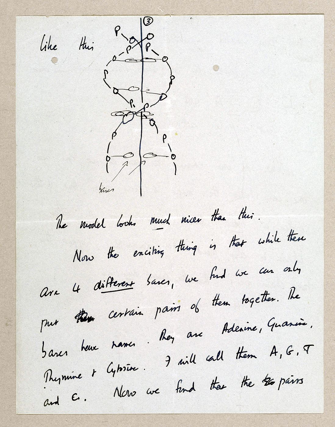 LA CARTA SOBRE EL DESCUBRIMIENTO DEL ADN SE SUBASTA POR 5,3 MILLONES DÓLARES