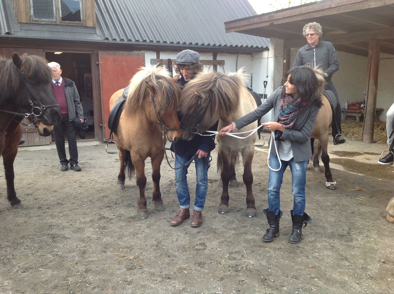 Juan Suárez, atrapado entre dos cabezas de caballos islandeses