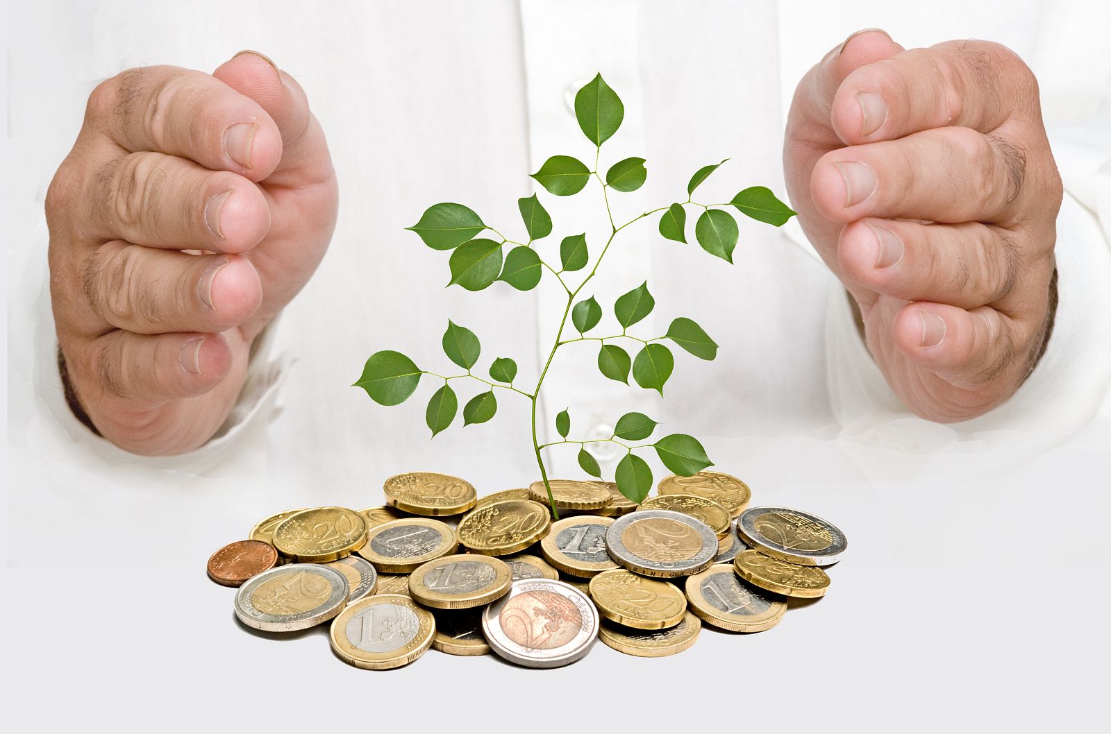 Manos cubirendo un árbol que nace de una pila de dinero.