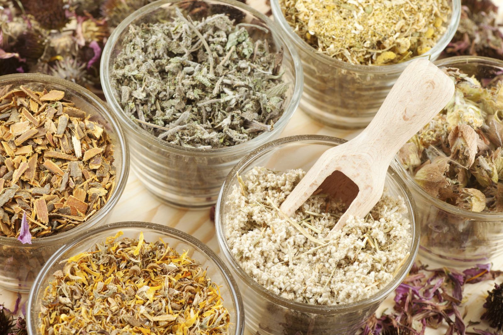 Diferentes infusiones con propiedades saludables.