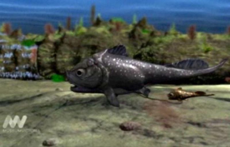 Hallan el fósil de un "dinosaurio del mar" de hace 375 millones de años dando a luz