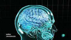 Desentrañar las conexiones entre los 100.000 millones de neuronas del cerebro