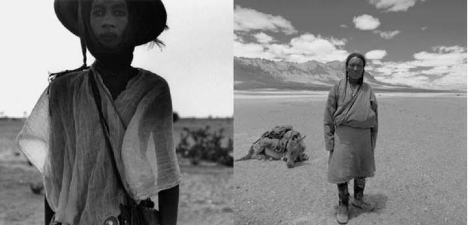 comboplossuplam-copia