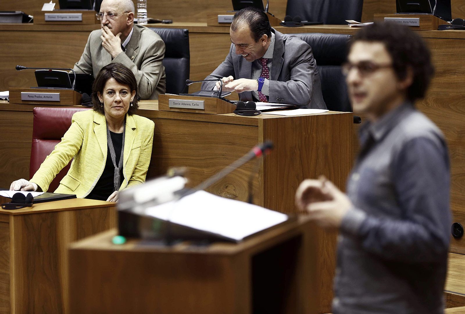 PLENO DEL PARLAMENTO FORAL