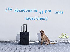 El mundo de la cultura apoya una campaña contra el abandono de animales en verano