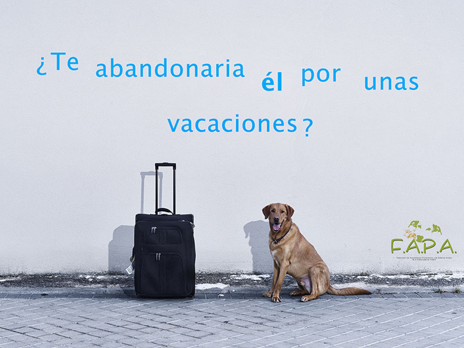 Cartel de la campaña "¿Te abandonaría él por un veraneo?"