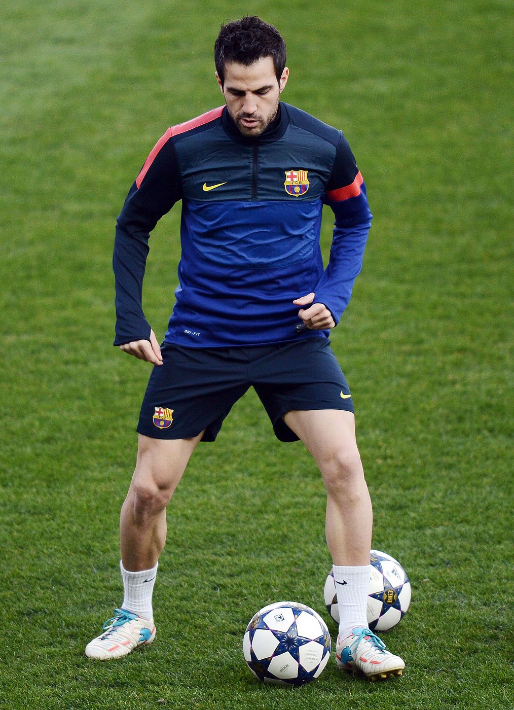 Cesc Fábregas