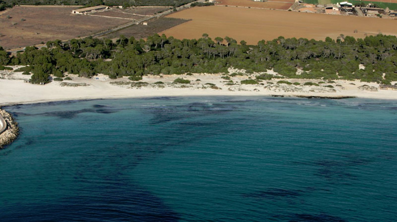 Arenal de Sa Ràpita con terrenos agrícolas detrás