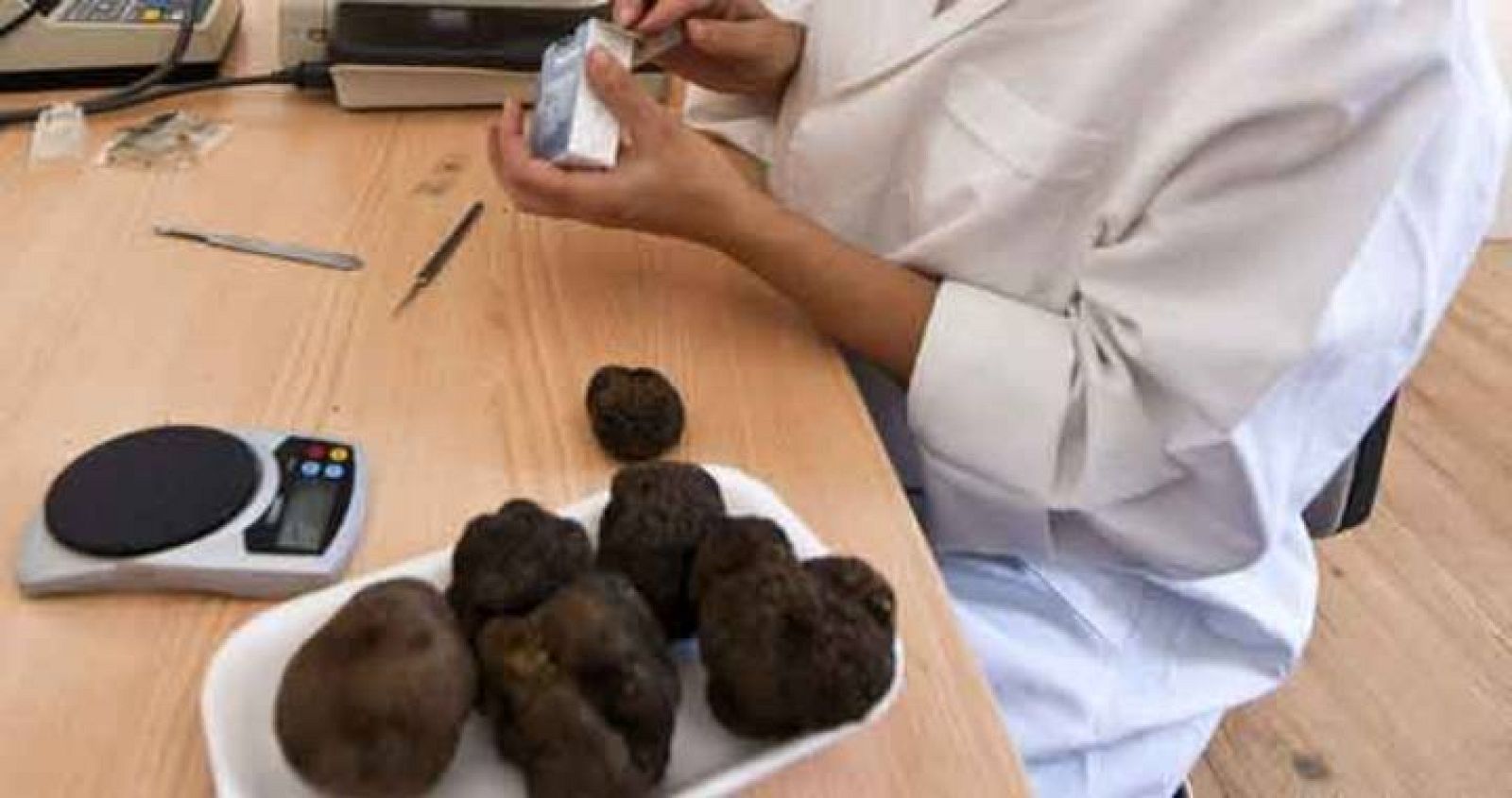 Las trufas negras andaluzas, un tesoro en el subsuelo
