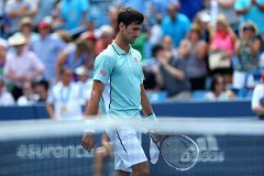 Isner sorprende a Djokovic y se cita con Del Potro en semifinales