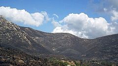 Estabilizado el incendio de Mallorca que se investiga si fue intencionado