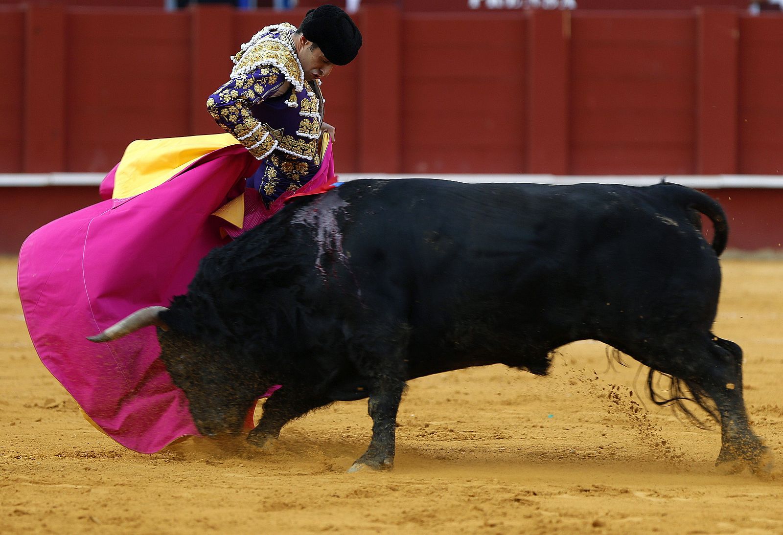Alejandro Talavante, en la plaza de la Malagueta