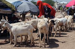 Somalia consigue el respaldo internacional y 1.800 millones para reconstrucción