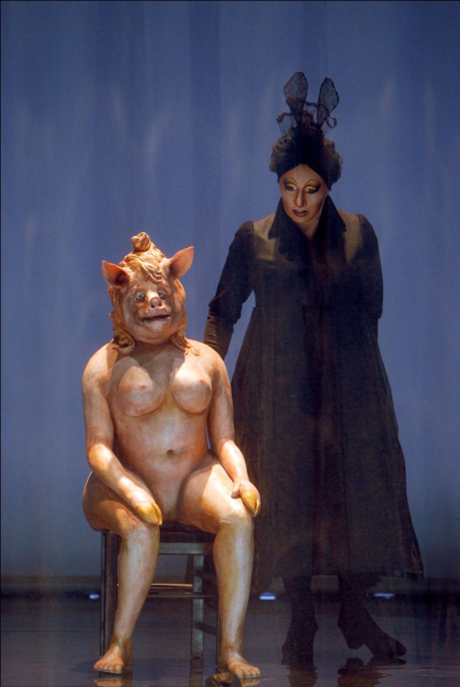 truismes la veuve photo pascal victor