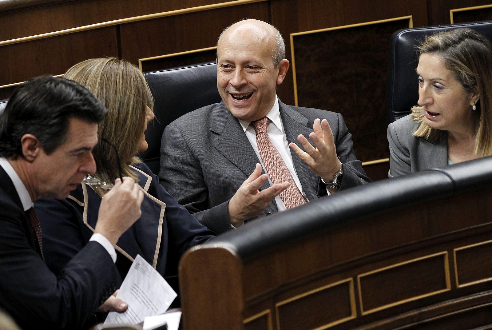 José Ignacio Wert durante la sesión de control al Gobierno del pleno del Congreso.
