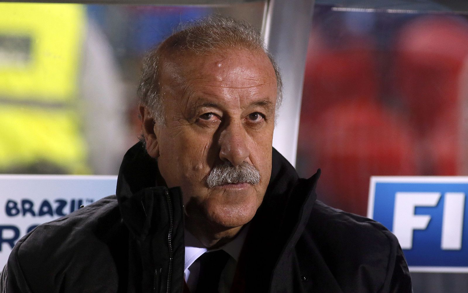 Spain's coach del Bosque sits in the bench before their 2014 World Cup qualifying soccer match against Belarus in Spain
