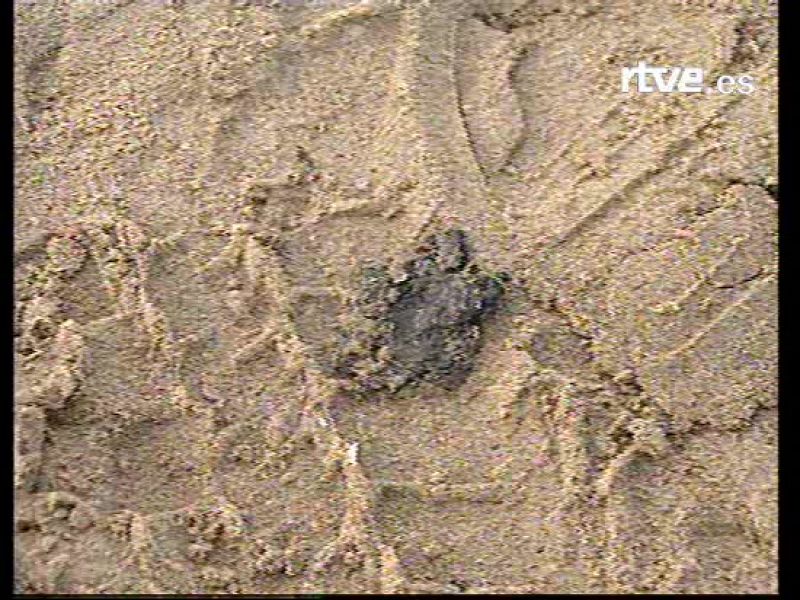 El fuel llega ya a las playas valencianas de la Malvarrosa y la Patacona