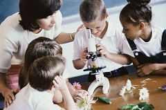 La Semana de la Ciencia 2013 acerca la investigación a la ciudadanía en noviembre