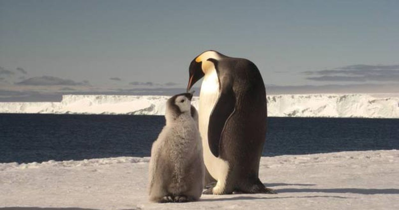 La cumbre del clima de Varsovia arranca con el objetivo de acercar posiciones para reducir las emisiones contaminantes