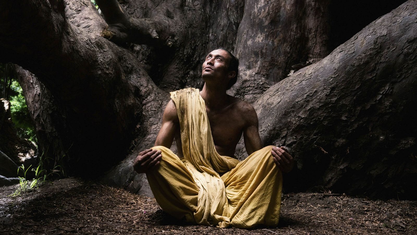 History of the World