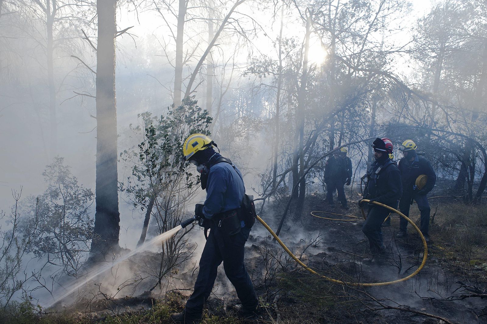 Miembros de las brigadas forestales trabajando en el Baix Empordà