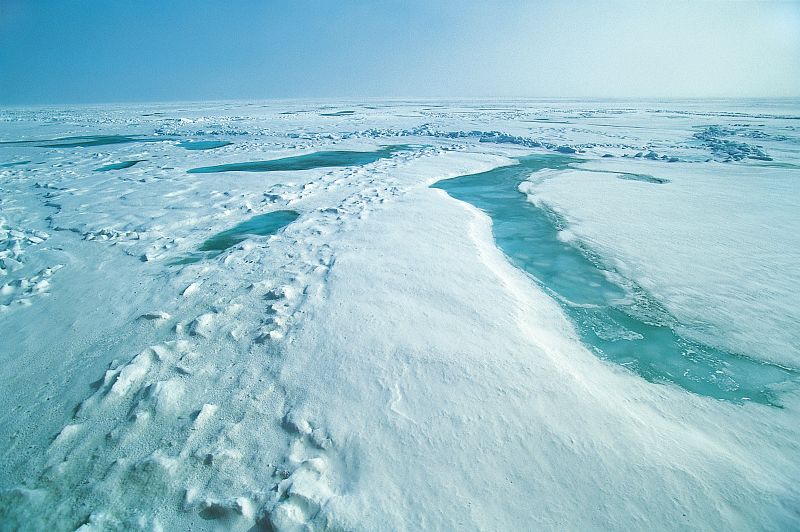 El volumen de hielo marino del Ártico crece un 50% respecto al otoño 2012