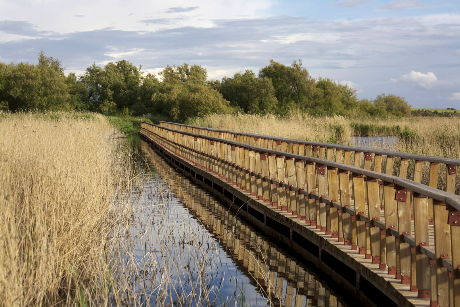 Paseo en el Parque Nacional de las Tablas de Daimiel.